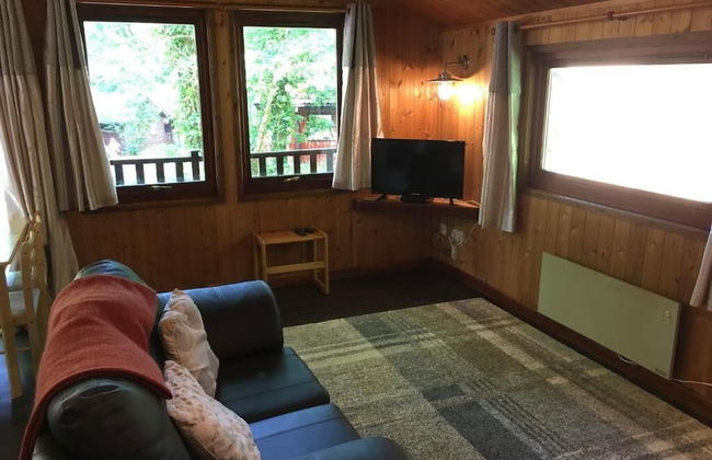 Snowdrop 14 Hot Tub - Foto 7