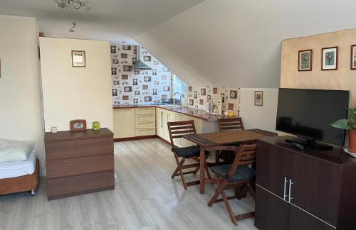 Agroturystyka nad stawami - Foto 44