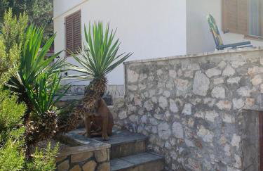 HOUSE Kod dide - Foto 60