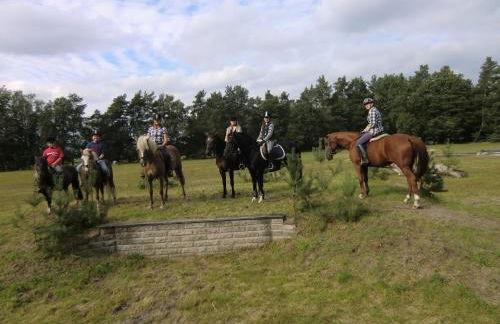 Reit- und Bauernhof Klaucke - Foto 10