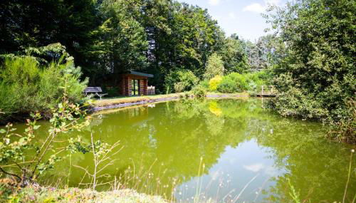 La Cabane de l'Étang du Domaine de la Forestière - Foto 3
