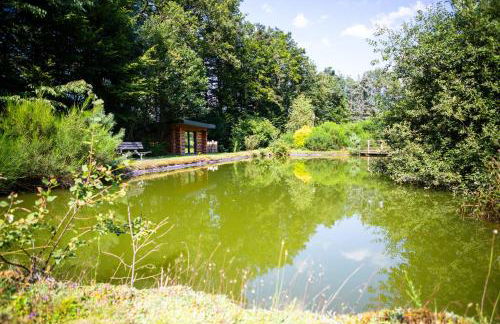 La Cabane de l'Étang du Domaine de la Forestière - Foto 3