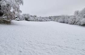 Delightful cabin retreat wrapped by natural beauty - Photo 17