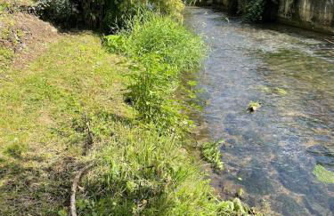 Bienvenue au petit point de vue - Photo 13