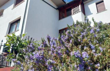 Rosa d' Inverno - Foto 2