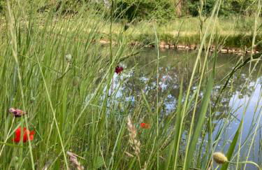 Gîte du Canal de Berry II Beauval 6 personnes - Foto 35