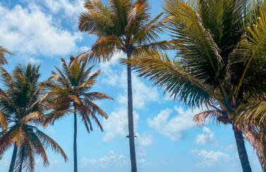 Villa Naluri - Casa Yodo - Apartamento 1 quarto em Japaratinga - Foto 25