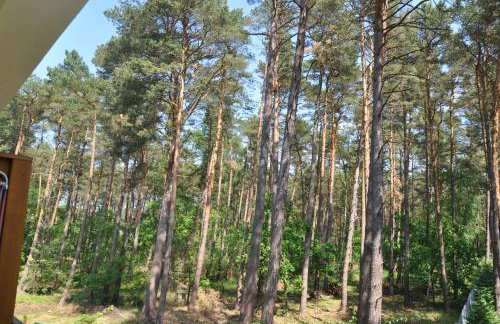 BLUE MARE Apartamenty MES - Foto 66