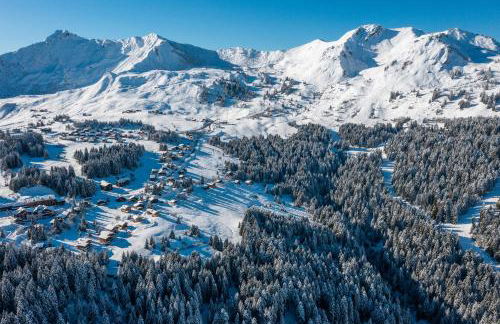 Les Pralyssimes - 35 M² - Foto 24