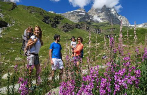 Pet-friendly Mountain Escape - Foto 80