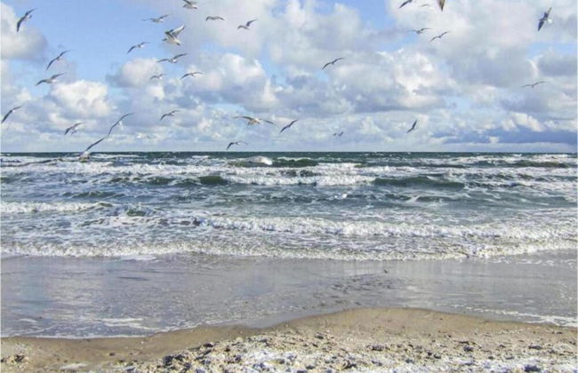 Peaceful Apartment in Klütz Germany near Boltenhagener Beach - Foto 38