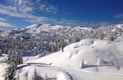 Center Aviano Comfort Suite FREE PARKING WIFI - Foto 27