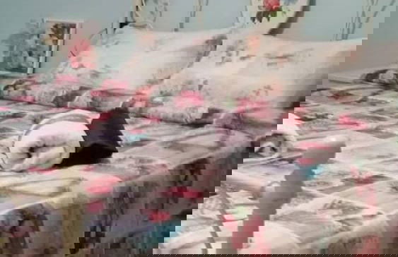 Casa Annick Holiday Home Chianti Area Florence - Photo 12