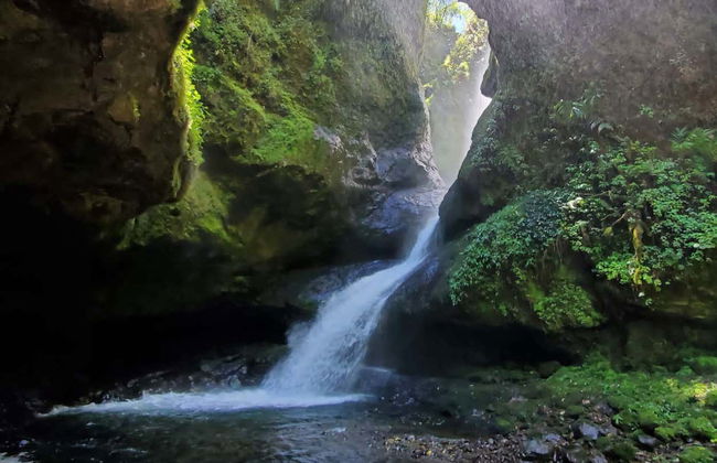 Tour pela Reserva Natural Cueva del Esplendor - Foto 8
