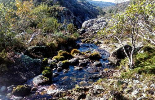 Miradouro da Branda - Foto 15