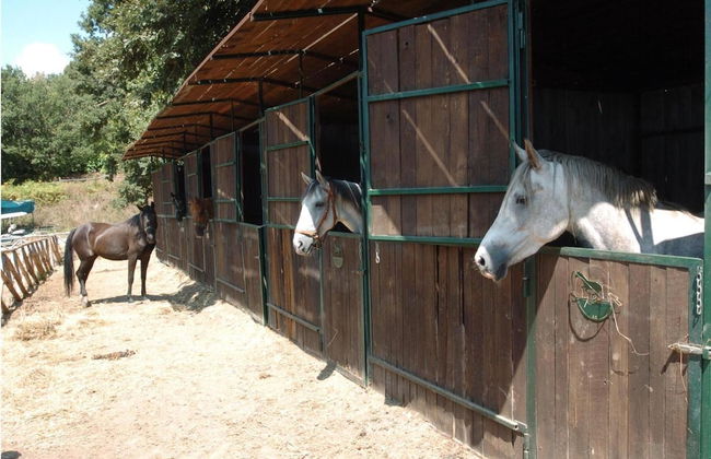 Agriturismo La Riserva Di Montebello - Foto 17