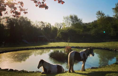 New Elms Farmhouse - Foto 66