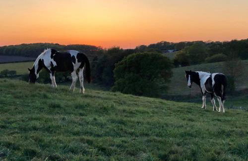FAIRVIEW FARM Holiday Accommodation 14 Luxury Lodges, Cabins, Dog Friendly, Suitable for Couples, Families and Groups, Wedding Guests , Corporate events, Sleeps 2-65 guests in Ravenshead, Nottingham near Sherwood Forest, set in 88 acres - Photo 40