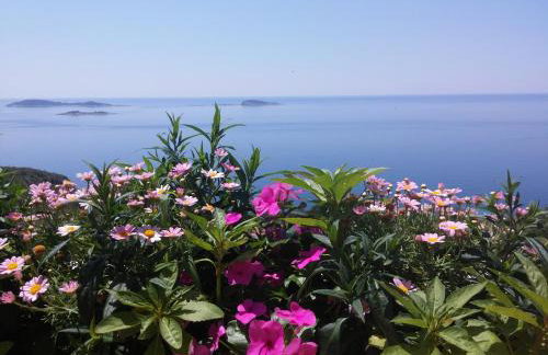 Apartment Marija - Foto 51