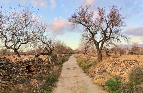 The Other Place - Foto 17