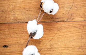 Ty Meham, à 700m de la plage et Meneham, grand terrain calme - Foto 11