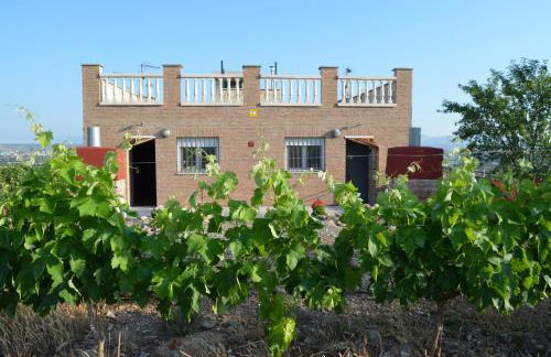 Apartamentos Matraca - Foto 22