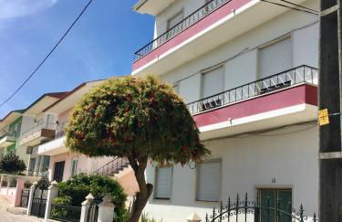 Lines of Wellignton - Foto 25