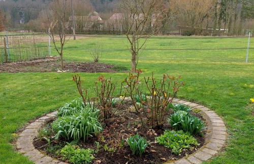 Ottilienhof - Foto 10