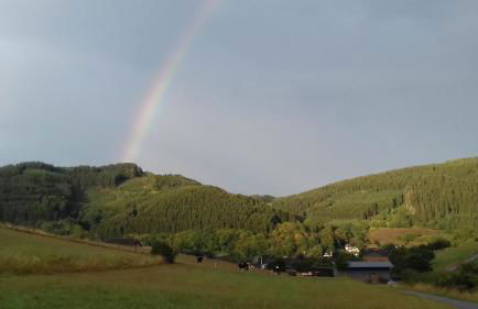Ferienhaus Rabenhorst - Foto 39