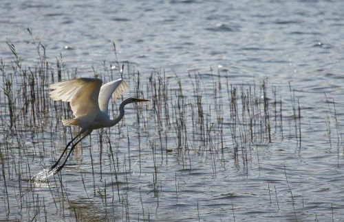 Ferienwohnungen am Federower Hofsee - Foto 9