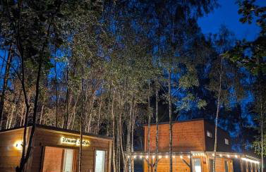 Brzozowe Siedlisko Chechłówka - Foto 1