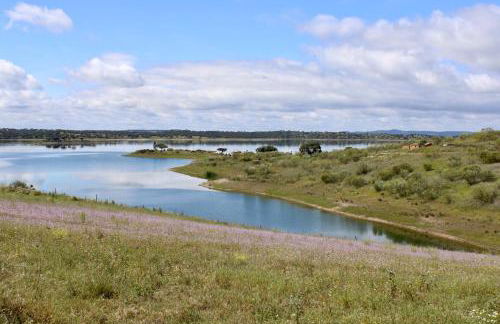 A nossa Estrela - Foto 22