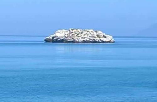 Ekaterina House-Grande 2 minuti dal mare - Foto 8