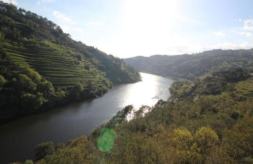 Casas do Campo da Moita - Foto 46