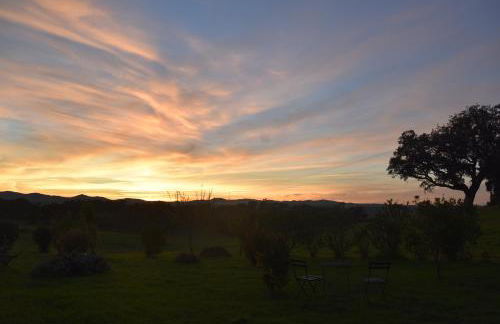 Herdade Reguenguinho - Foto 31