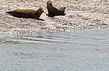 Rūm by the beach - Foto 49