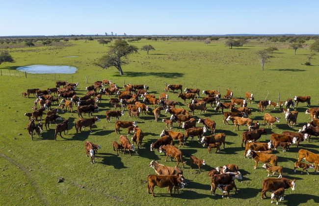 Estancia San Agustín - Foto 20