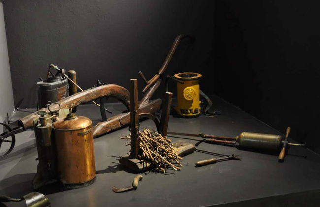 Maison Brotte Wine Museum Tickets - Foto 6