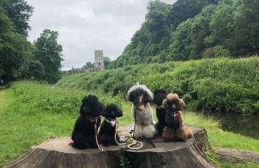 The Coach House & The Stables Yorkshire Peak District With and without hot tub options - Foto 39