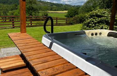 Cwmgwn Farm - Foto 28