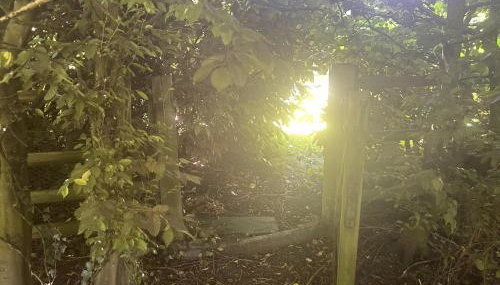 Cabin Retreat in Bedford - Sleeps 2 & Free parking - Foto 5, Garden