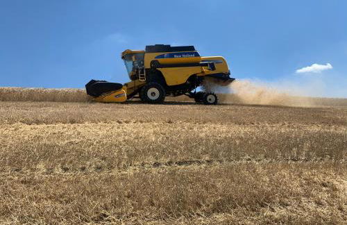 Agriturismo Poggio Tobruk - Foto 30