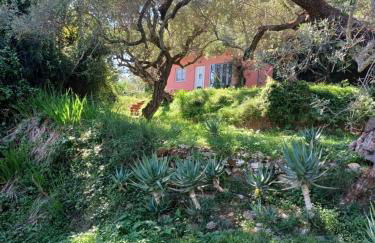 el paradiso - Foto 6