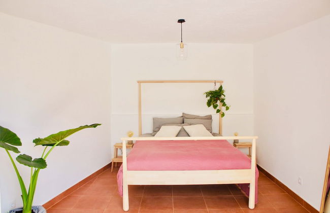 João Jungle - Foto 9