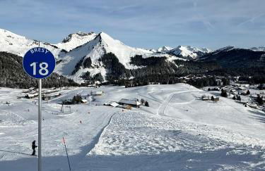 Studio au cœur du Praz-de-Lys - Les Pralyssimes - Foto 20