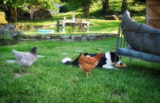 Cab'ânes du Pibeste - Foto 25