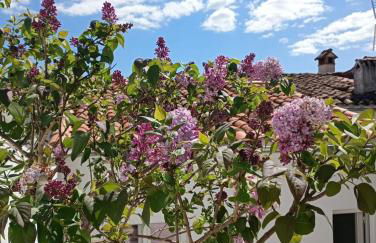 Alojamiento Rural Los Jarritos - Foto 27