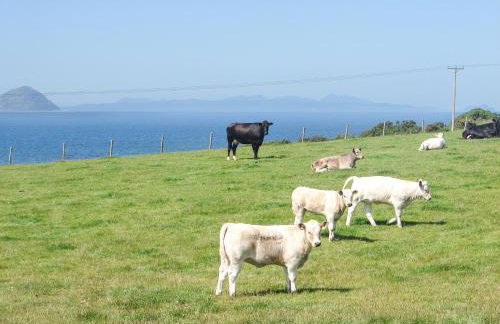 Fiddlers Rest - Foto 20