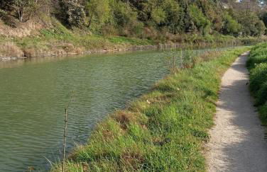 Maison Les Hirondelles - Photo 19