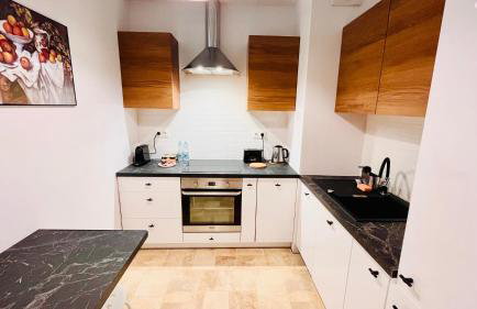 Rydygiera Modern Apartment 52 m2 with free parking Near Arkadia - Foto 9